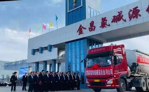 金泥集團(tuán)20萬噸聯(lián)堿項(xiàng)目順利投產(chǎn)，純堿產(chǎn)品與翡翠玉石共譜發(fā)展新篇